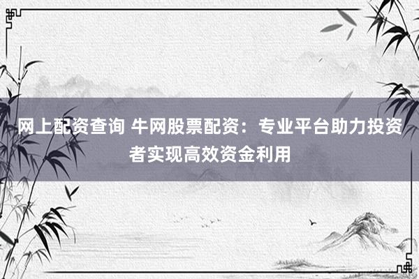 网上配资查询 牛网股票配资：专业平台助力投资者实现高效资金利用