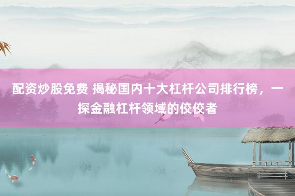 配资炒股免费 揭秘国内十大杠杆公司排行榜，一探金融杠杆领域的佼佼者