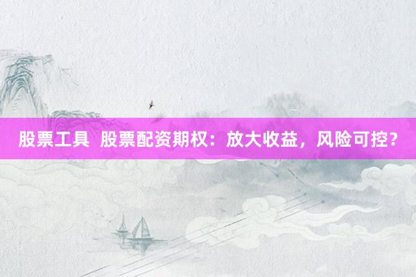 股票工具  股票配资期权：放大收益，风险可控？