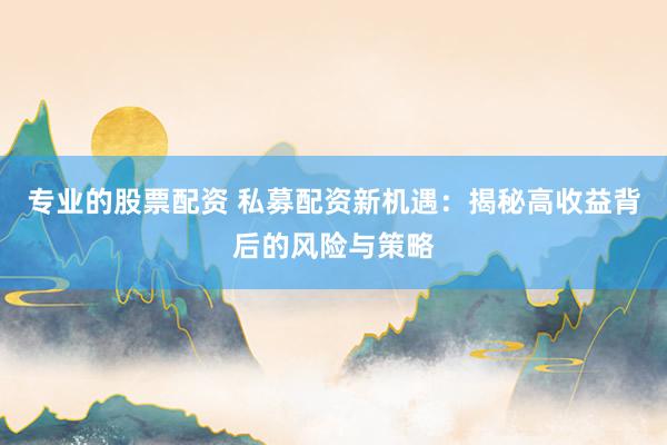 专业的股票配资 私募配资新机遇：揭秘高收益背后的风险与策略