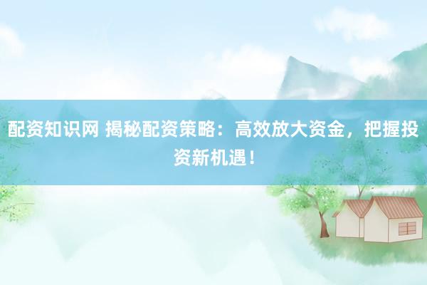 配资知识网 揭秘配资策略：高效放大资金，把握投资新机遇！