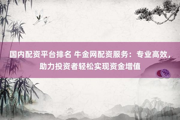 国内配资平台排名 牛金网配资服务：专业高效，助力投资者轻松实现资金增值