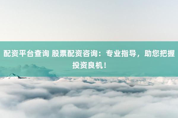 配资平台查询 股票配资咨询：专业指导，助您把握投资良机！
