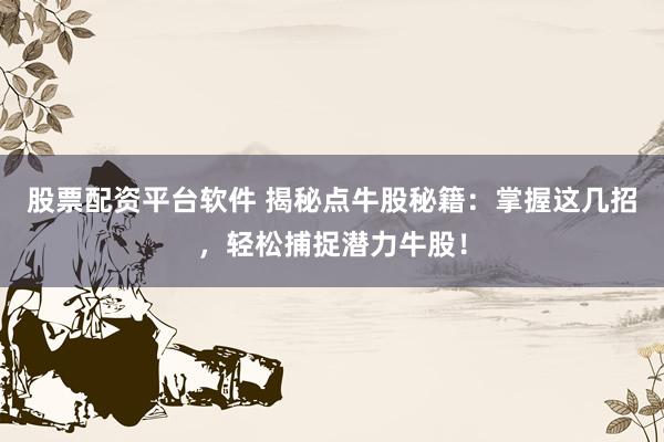 股票配资平台软件 揭秘点牛股秘籍:掌握这几招,轻松捕捉潜力牛股!