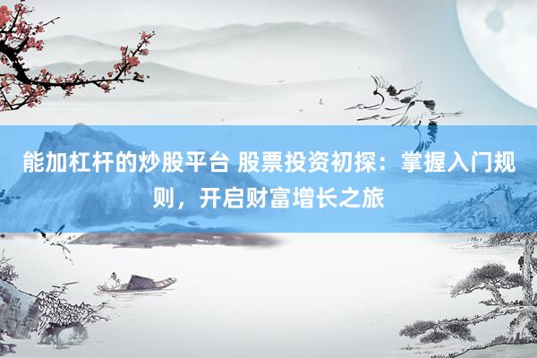 能加杠杆的炒股平台 股票投资初探：掌握入门规则，开启财富增长之旅