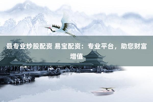 最专业炒股配资 易宝配资:专业平台,助您财富增值